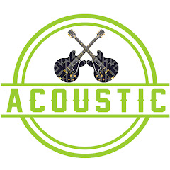 Acoustic Lofi net worth