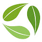 Olive Branch Church logo