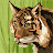 @일일-l7m