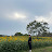 @DAECHOO-