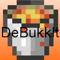 DeBukkIt net worth