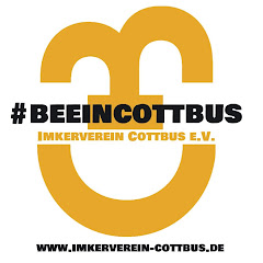 Bee in Cottbus (#beeincottbus)