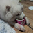 @이기환-m8d