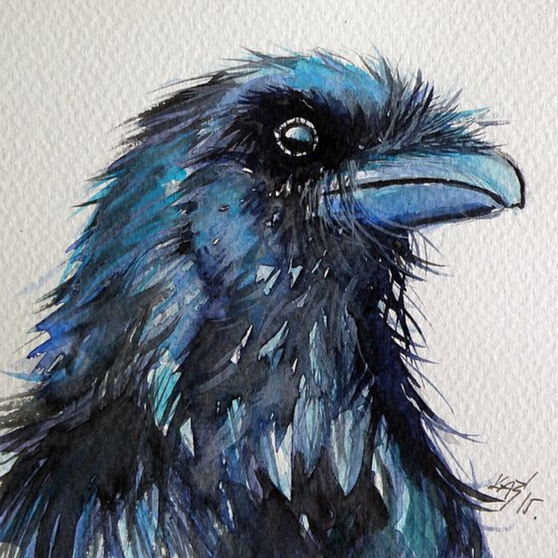 RavenVayax