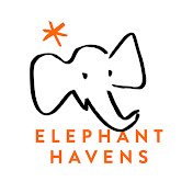 Elephant Havens
