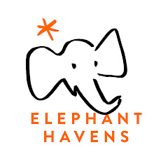 Elephant Havens Wildlife Foundation Inc