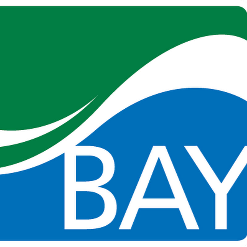 BayCollegeOnlineMath icon