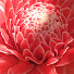 D10iw3FPLlM-channel-avatar-1000 Kleinigkeiten