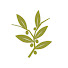 UqdL4YMORwI-channel-avatar-Olive Tree Media
