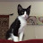 @ThomasBones's avatar