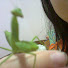 Sb5ZHhHPgvk-channel-avatar-jen jitsu