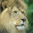 @steves5933's avatar