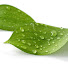k7GSWhGtLqM-channel-avatar-Levitate