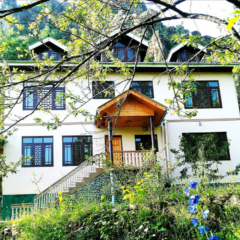 Cherrytree Kashmir
