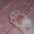 LccIXrh76l8-channel-avatar-Shoeゞ