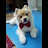 @JohnChang1688's avatar