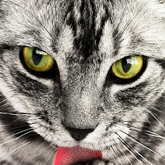 アンダーワールド