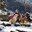 @mountaindoghome3744