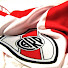 AYQ6CVTgjFo-channel-avatar-Orgullo Monumental por River