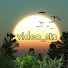 khnQ568nRgI-channel-avatar-video_stn