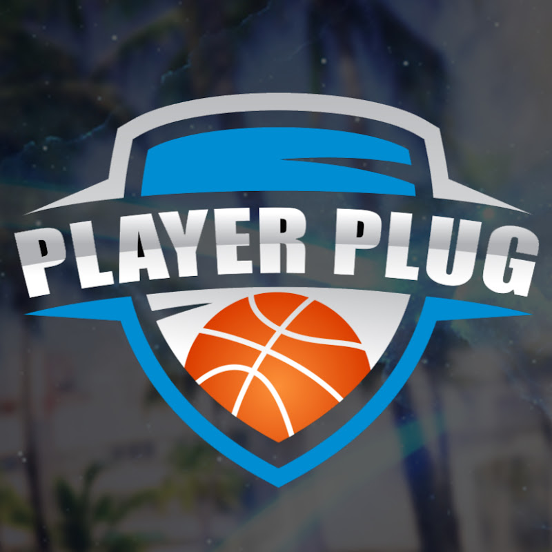PlayerPlug icon