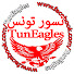 Yb-nZO2ZS-Q-channel-avatar-TunEagles