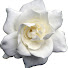 F8X0sO2aTIE-channel-avatar-andra1603