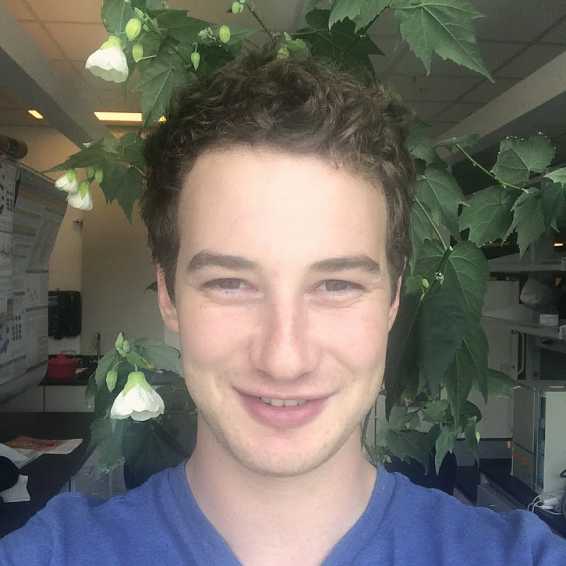 Daniel Himmelstein icon