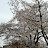 @김하늘-m6d5t