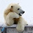 @北極白熊-m6b