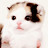 @user-bt8gk5re5q