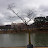 @acasiapark9931