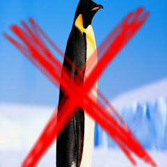 drogirani pingvin mora biti banovan channel logo