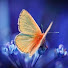 T_NJlyzHcKg-channel-avatar-Eriane