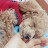 @user-oy4mb7of2d
