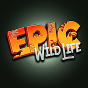 Epic Wildlife