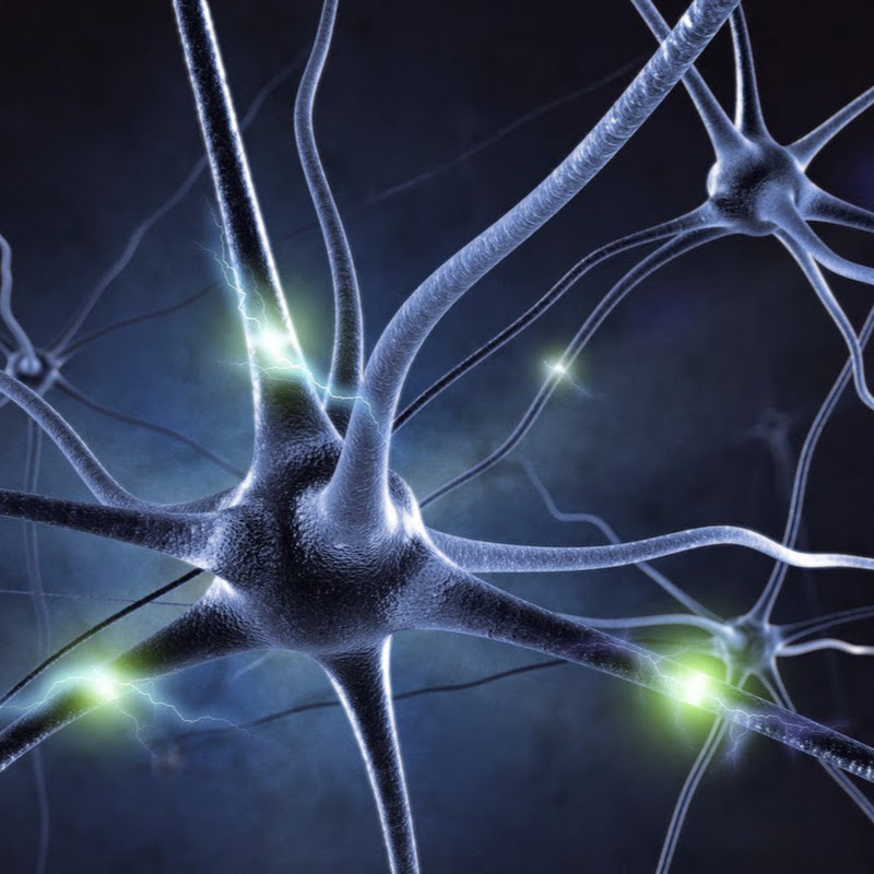 PureBeat Entertainment