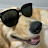 @goldenretriever159