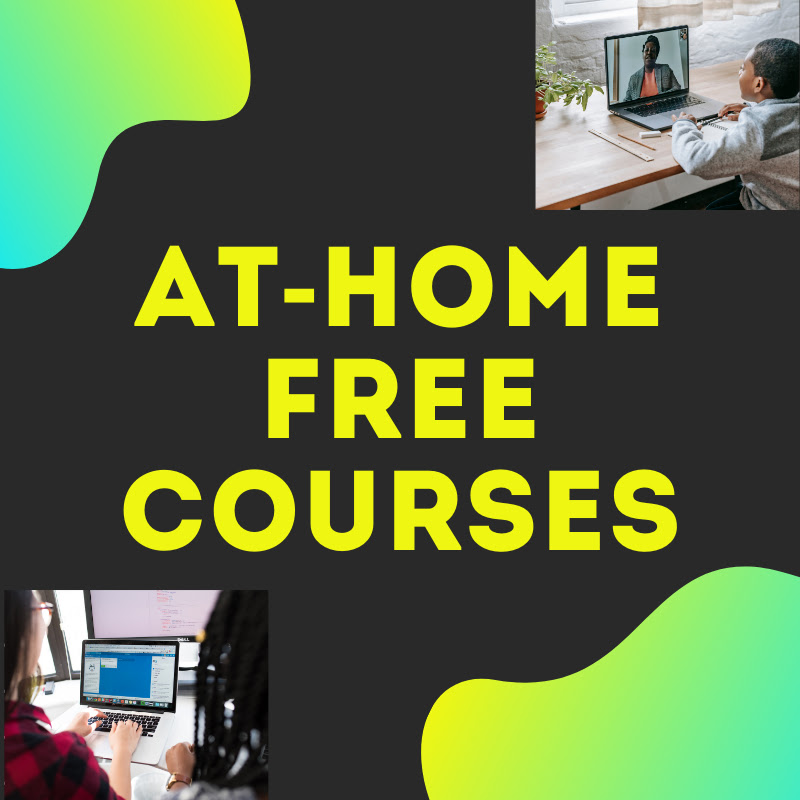 Daily Online Courses
