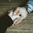 @mustafa94majdi