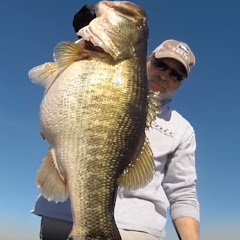 bassindon69 AKA Don Moorman