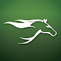 Horse Racing Tote News Avatar