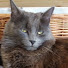Oi3lAOm88aU-channel-avatar-Craig