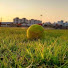 Q6u20uiOnI4-channel-avatar-Tennis cricket