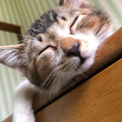 にちゃこ