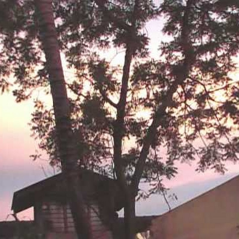 Phang TheamHock