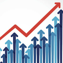The IITian Trader net worth