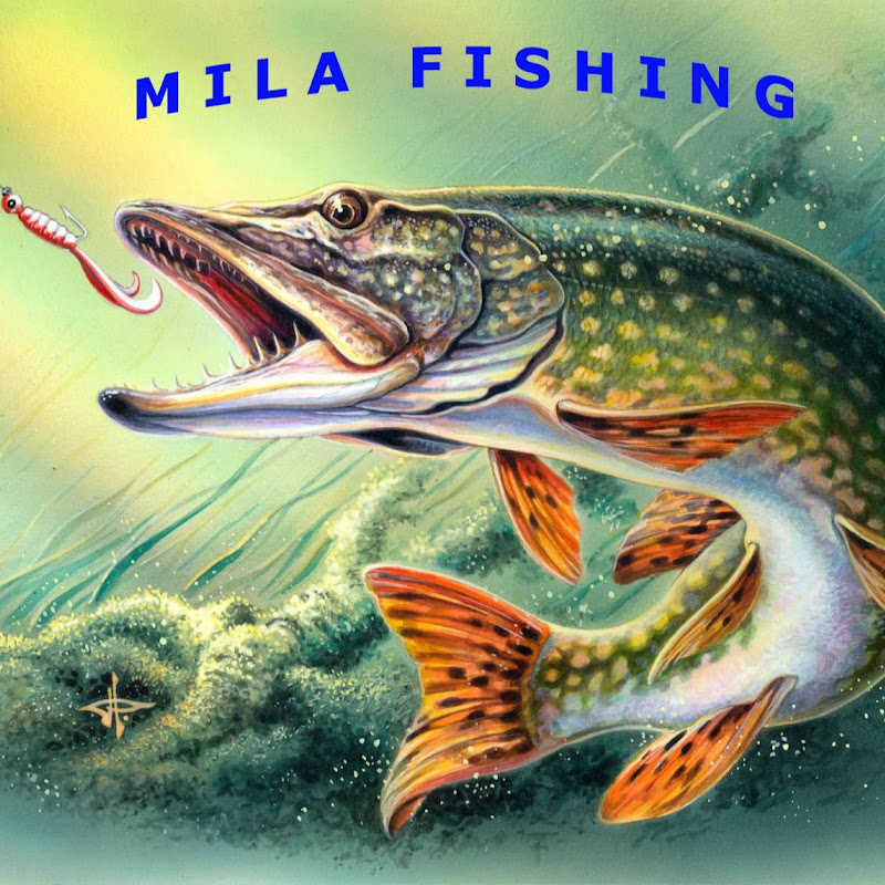 Спиннинг без границ Logo