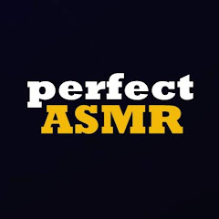 Perfect ASMR net worth