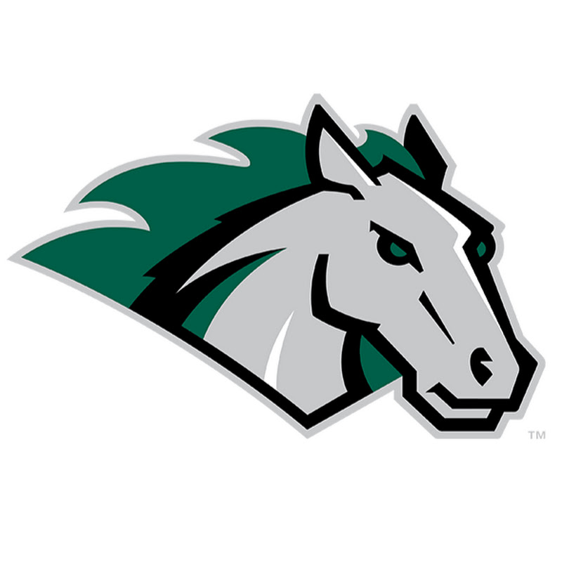 Stevenson Mustangs icon